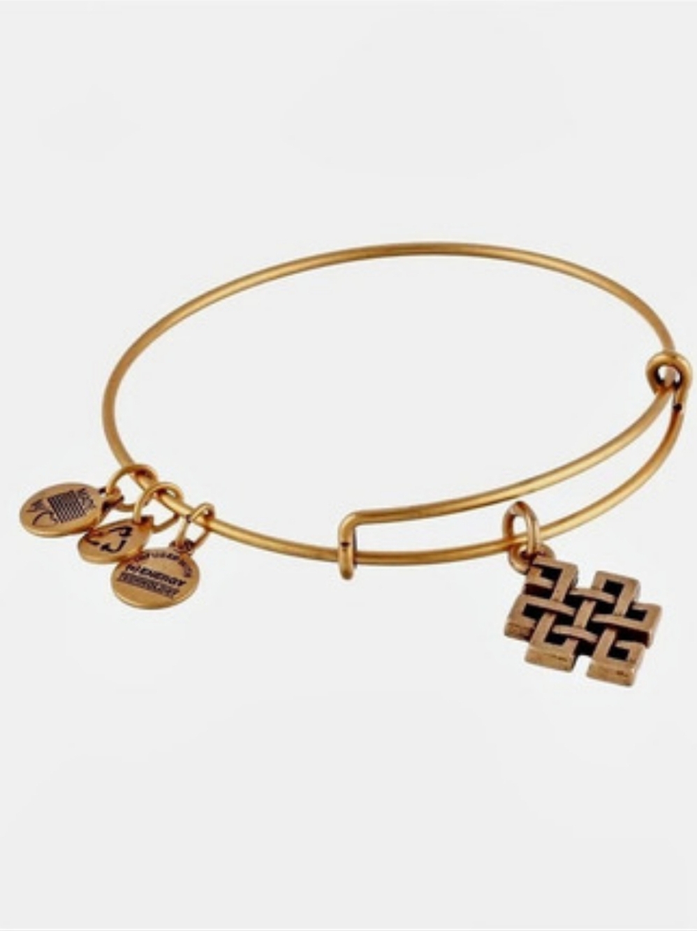 Alex and Ani Endless Knot Charm Bangle Gold